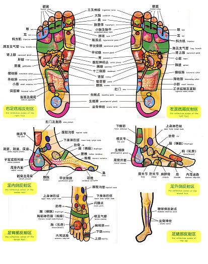 Foot Massage - pressure points